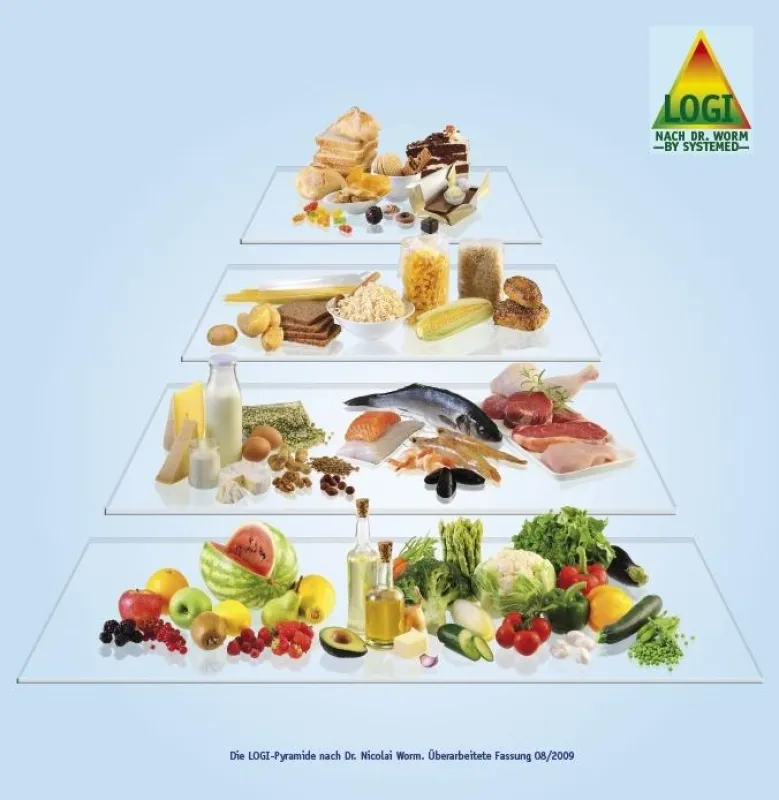 LOGI-Pyramide nach Dr. Worm