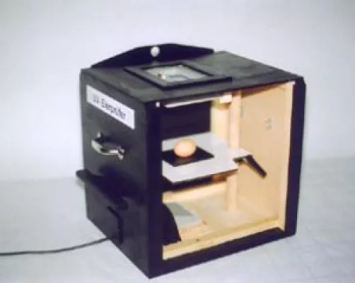 Bild: Vorsicht bei gefärbten Eiern – Viele Eier sind nicht ausreichend gekennzeichnet -- DEUTSCHES TIERHILFSWERK bietet kostenlosen „Eier-Test“ an