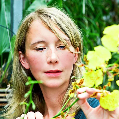 Orchideenkönigin hält Hof auf der Internationalen Orchideenwelt 2015 in Dresden Bild: Orchideenkönigin hält Hof auf der Internationalen Orchideenwelt 2015 in Dresden