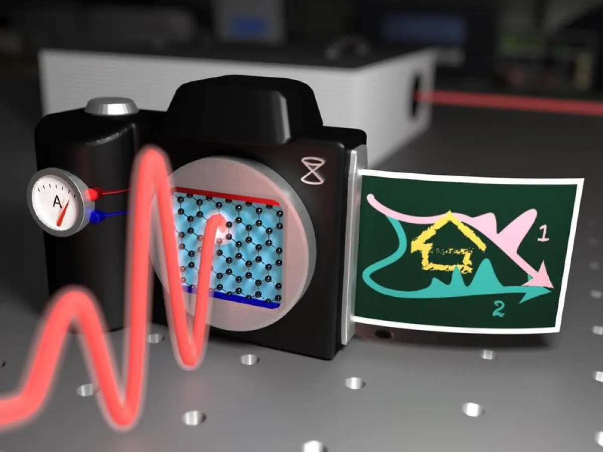 Schematic of the experiment for ultra-fast current generation: When the light wave (red) hits the graphene (honeycomb grid), an electronic current is generated instantly. (Image: FAU / Takuya Higuchi
