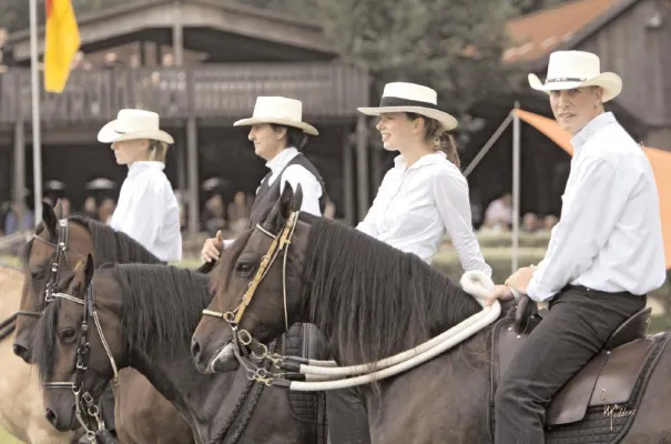 Bild: Gangpferde - Deutsche Meisterschaft findet vom 04. bis 07.09.2008 im Odenwald statt