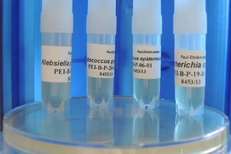 Safe blood products – PEI develops WHO-reference materials for platelet concentrates Bild: Safe blood products – PEI develops WHO-reference materials for platelet concentrates