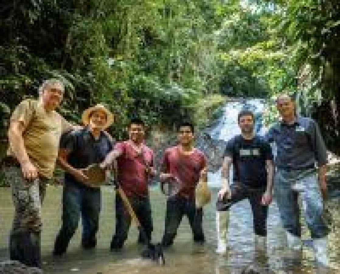 Quelle: Aurania Resources