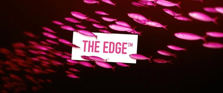 The Edge (TM) – die Online-Evolution des klassischen Handels Bild: The Edge (TM) – die Online-Evolution des klassischen Handels