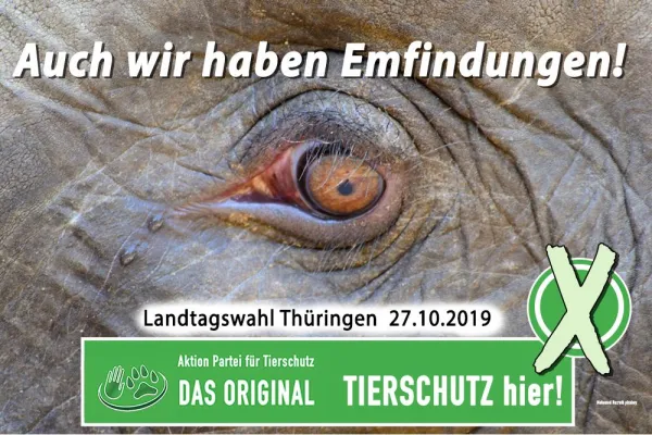 Bild: Auch Tiere haben Empfindungen