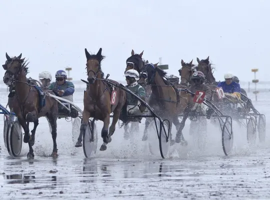 Bild: Schauplatz Wattenmeer: Duhner Wattrennen 2012