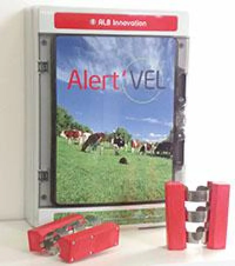 Alert’vel überwacht die trächtige Kuh und benachrichtigt den Züchter per Sprachnachricht