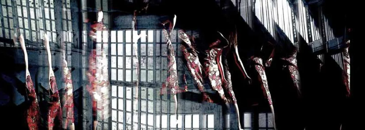 Timeslices, copyright: E. Mittelstädt