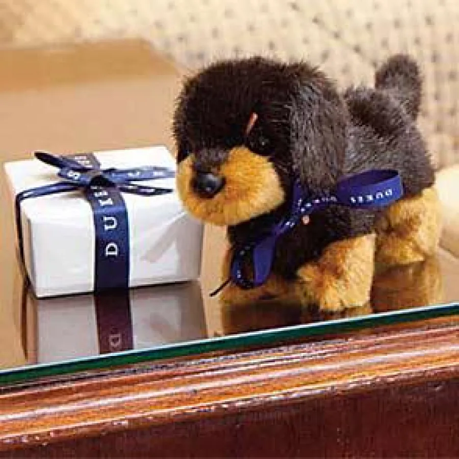 Kinder Spezial Arrangement im Dukes Hotel London via Cinnamon Circle