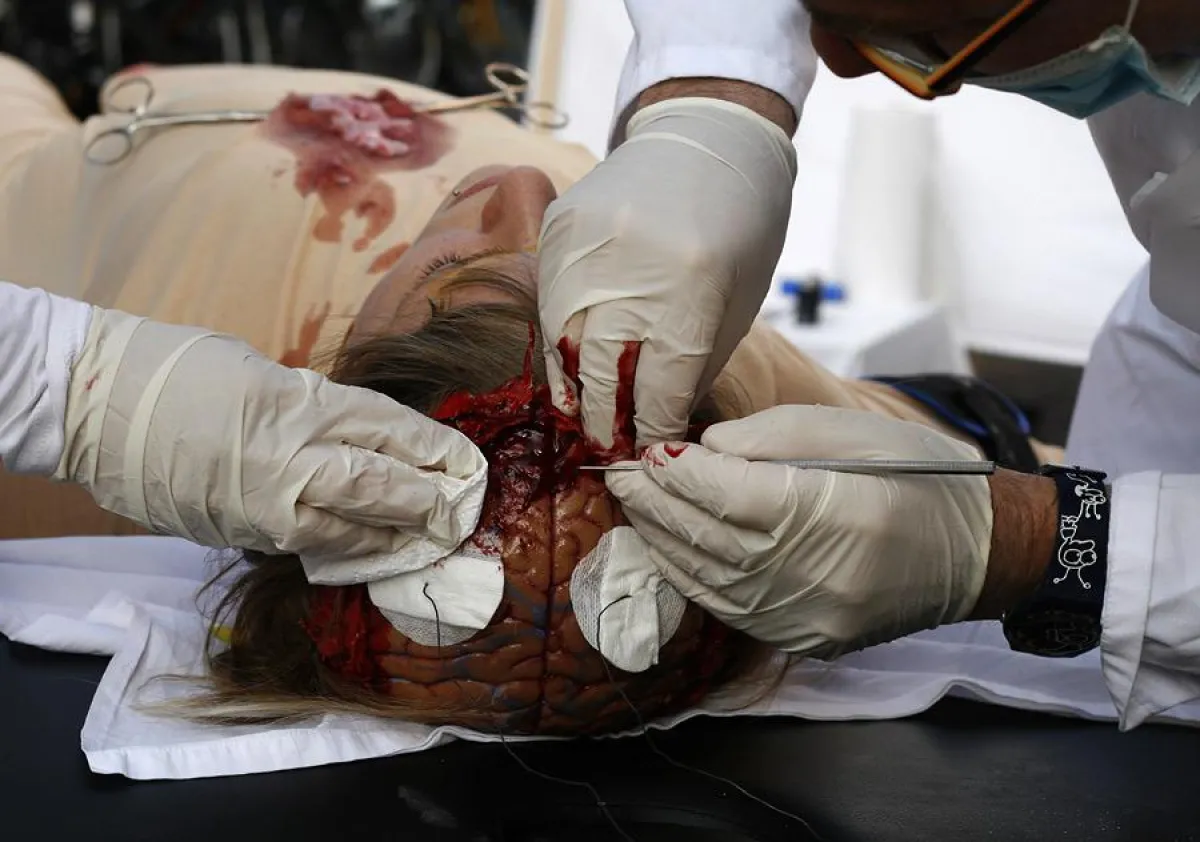 Tierversuche führen zu Menschenversuchen