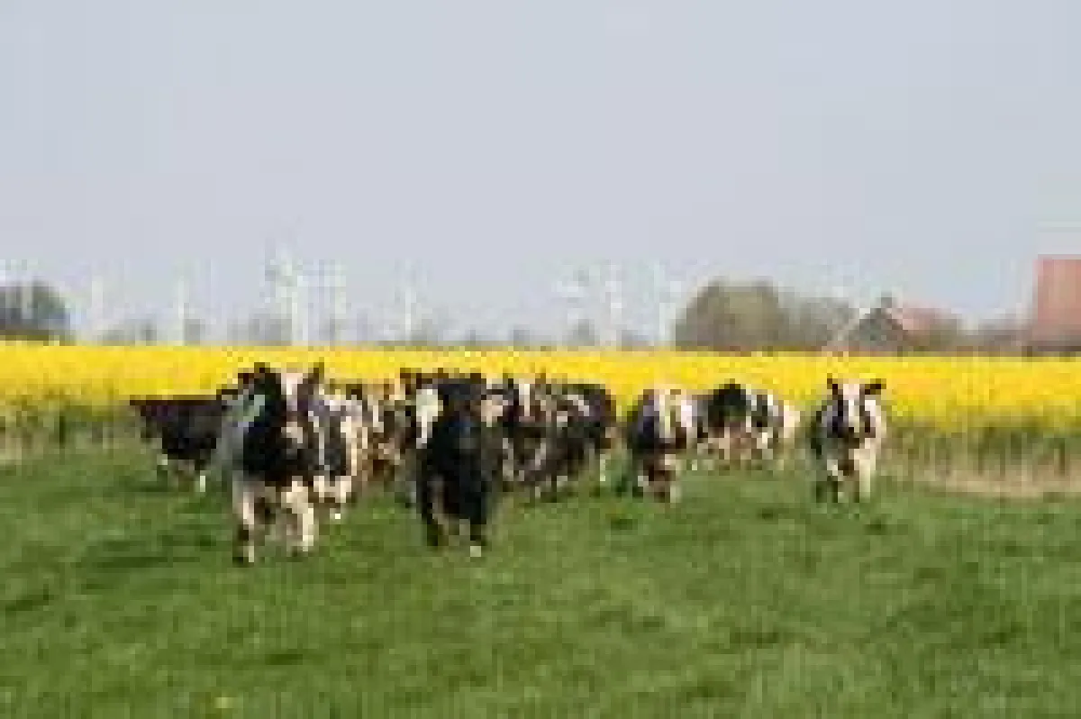 Tierärzte empfehlen effektiven Parasitenschutz beim Weideabtrieb