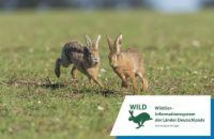 Bild: Wildtier-Informationen für jedermann