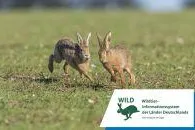 Bild: Wildtier-Informationen für jedermann