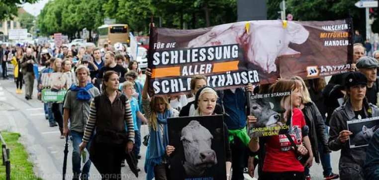 Weltweiter »Marsch zur Schließung aller Schlachthäuser« 2016 – erstmals auch in vier deutschen Städten Bild: Weltweiter »Marsch zur Schließung aller Schlachthäuser« 2016 – erstmals auch in vier deutschen Städten