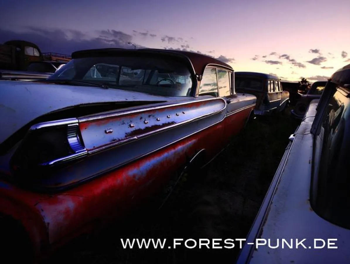 Forest Punk goes America © DIETER KLEIN