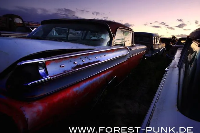 Bild: Der FOREST PUNK Part II. goes America – und Fotograf Dieter Klein hofft auf ihren Support
