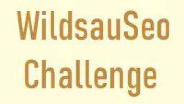 Bild: Starker Wettbewerb: Die Challenge WildsauSeo motiviert viele Webmaster und Homepagebetreiber zur Teilnahme!