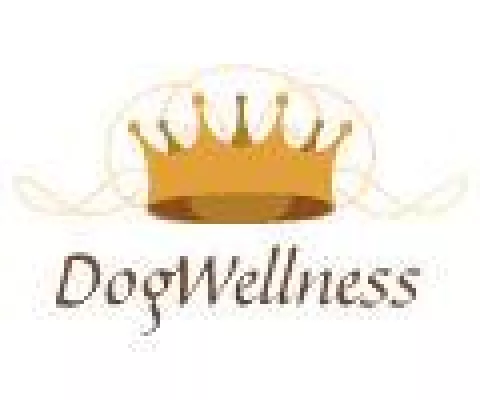 Bild: Wellness - Massage speziell für den Hunde