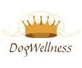 Bild: Wellness - Massage speziell für den Hunde