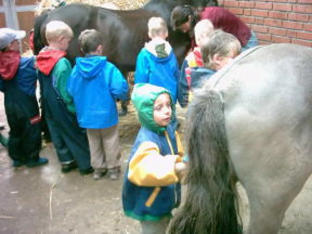 Kinder beim Striegeln der Ponys
