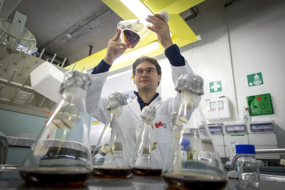 Wie die Forschenden den Prozess der Celluloseaufspaltung an der Oberfläche beobachtet und dokumentiert haben, ist aktuell in Nature Communications veröffentlicht. (© Lunghammer - TU Graz)