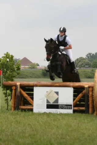 Bild: Goldene Schärpe Pferde am 20-22 Juni auf dem Linslerhof/Überherrn