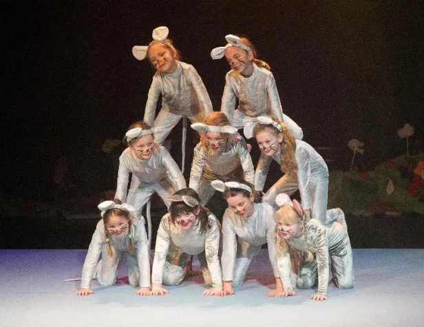 Bild: Cabuwazi-Kätzchen können sich freuen