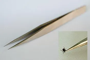 Bild: Schärenärzte und Archipelago Instruments führen spezielle neue Pinzetten ein