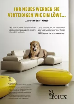 Bild: Große Löwen helfen den Kleinen