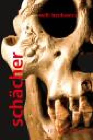 Bild: Schächer, ein Erotikthriller von Willi Benkovics