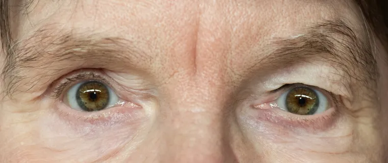 Bild: theater 36 – bühnenkunst inklusiv zeigt: ]mit mir. die sintflut[  2. – 3.10.23 im Goldbekhaus Hamburg