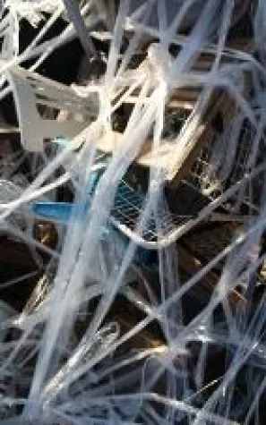 Bild: Künstler für zwei internationale Kunstfestivals gesucht