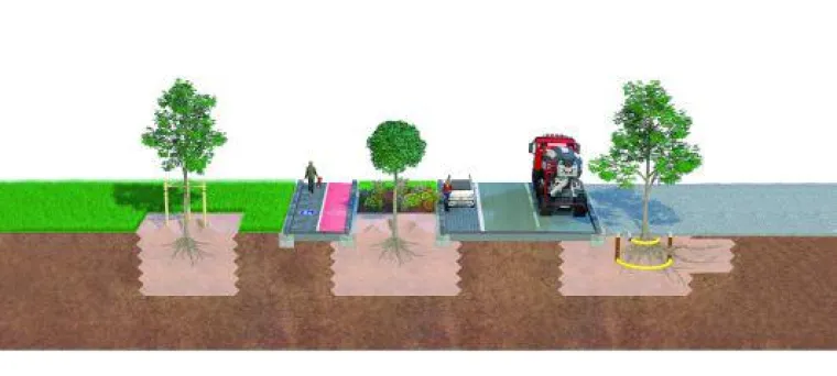 Bild: HYDRALIT Baumsubstrate: Lebensraum für starke Bäume