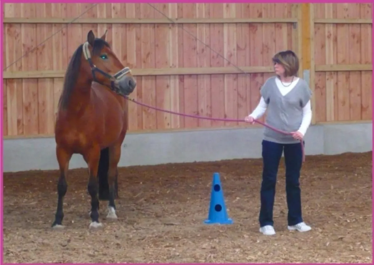 PferdeStärken Menschen in Potsdam