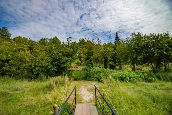 Bild: Tierfriedhof: Ökologische Tierbestattungen "Am Ort der Trauer leben fördern"