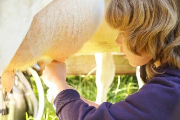 Bild: Anpacken statt Zuschauen - Eine Woche lang Hobby-Bauer - Für 17 rheumakranke Kinder ist ein Traum wahr geworden