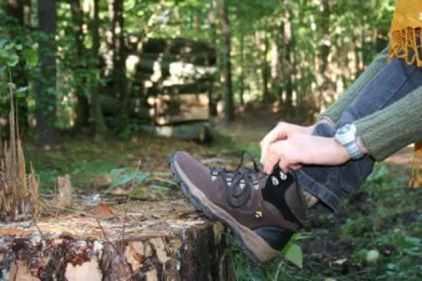 Bild: Dübener Heide - Mit WanderWalter auf Entdeckertour