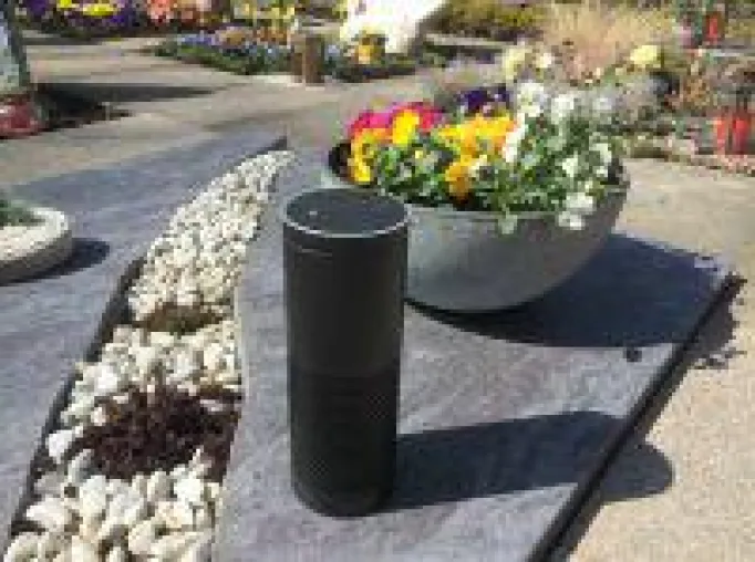 Alexa am Grab Bild: Alexa am Grab