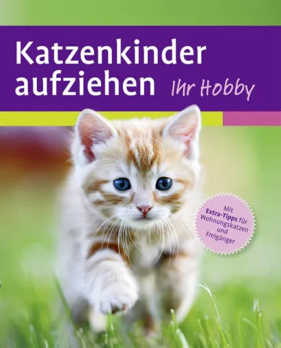 Bild: Ihr Hobby Katzen - Katzenkinder und Norwegische Waldkatzen richtig halten