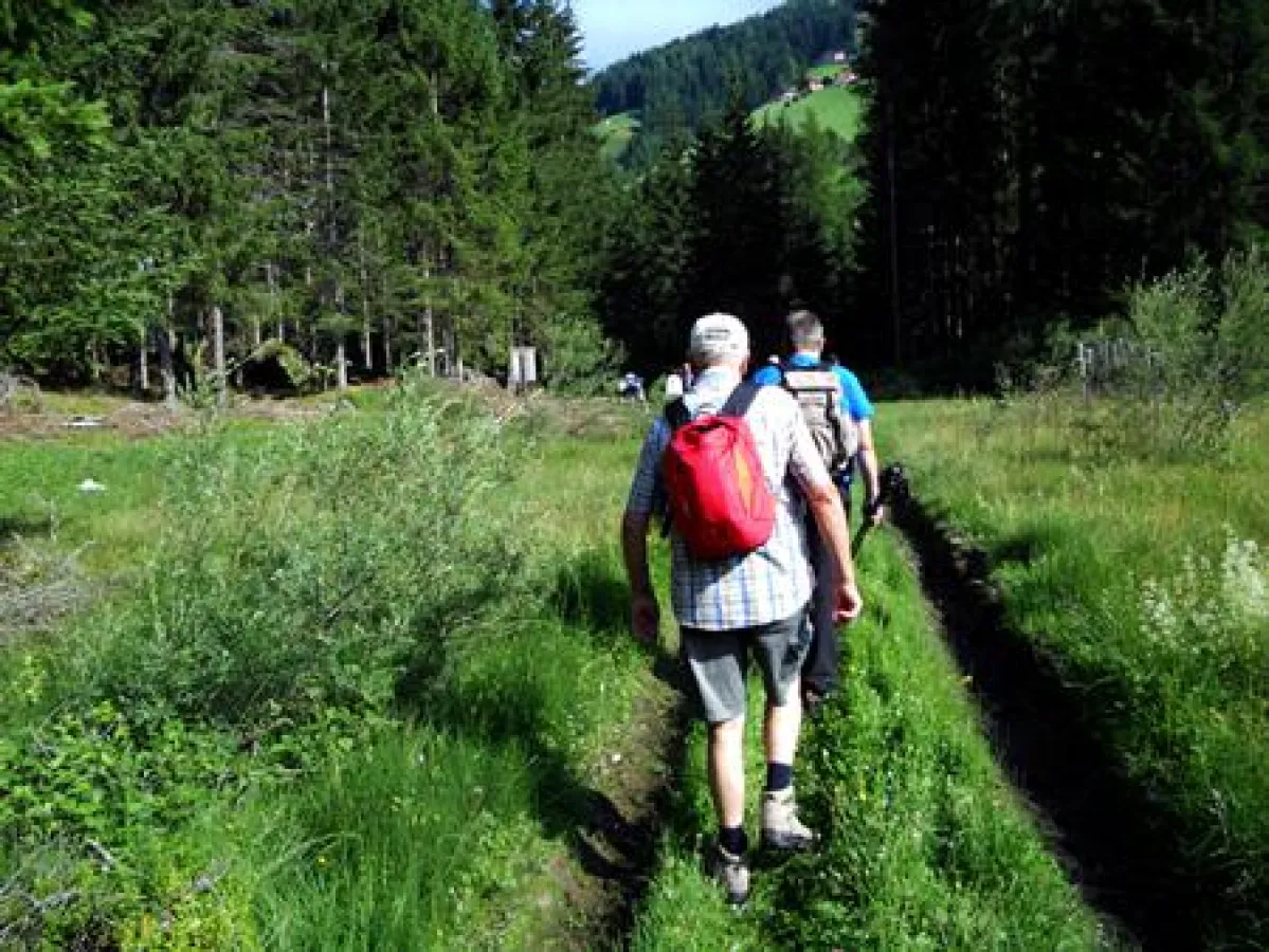 Osteoporose ist im Volksmund unter der Bezeichnung Knochenschwund bekannt