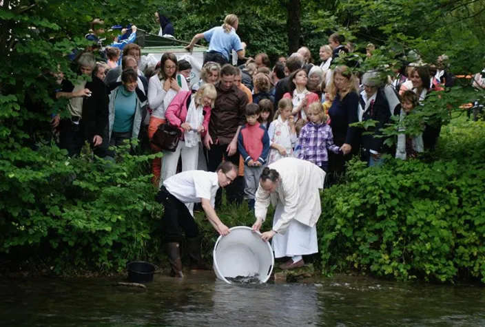 Bild: Essenz des Lebens - 2100 Fischen die Freiheit schenken