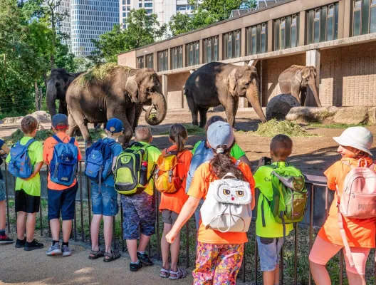 Bild: Berliner Rotary Clubs laden am 23. und 24. August zum Rotary-Kindertag 2.500 Kinder in den Zoo ein