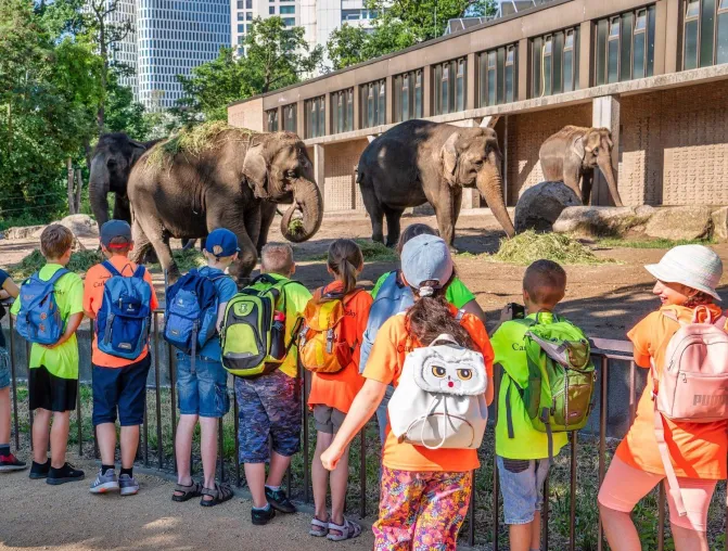 Bild: Berliner Rotary Clubs laden am 23. und 24. August zum Rotary-Kindertag 2.500 Kinder in den Zoo ein