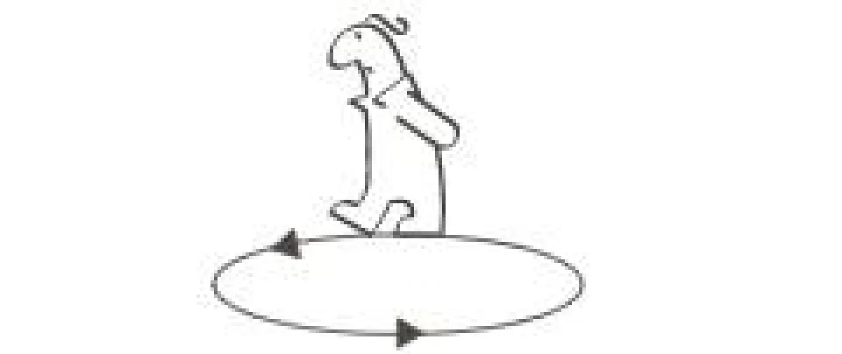 Raus aus dem Kreis - rein in das Leben - Unternehmer meines Lebens