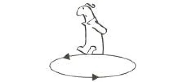 Bild: Naupany Puma, letzter Inkapriester spricht vor Unternehmern