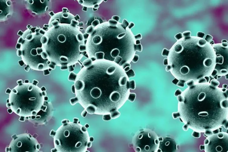 Coronavirus (COVID-19) in Montenegro - Informationen für deutschsprachige Touristen Bild: Coronavirus (COVID-19) in Montenegro - Informationen für deutschsprachige Touristen