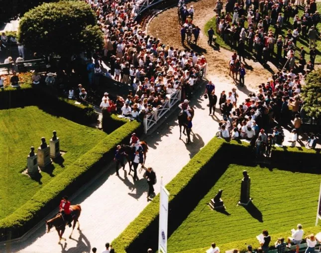 Breeders Cup 2008 Vorschau - Casino Drive gewinnt in Kalifornien Bild: Breeders Cup 2008 Vorschau - Casino Drive gewinnt in Kalifornien