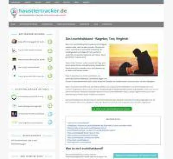 Bild: Das Leuchthalsband für Hunde - Sicherheit auf 4 Pfoten
