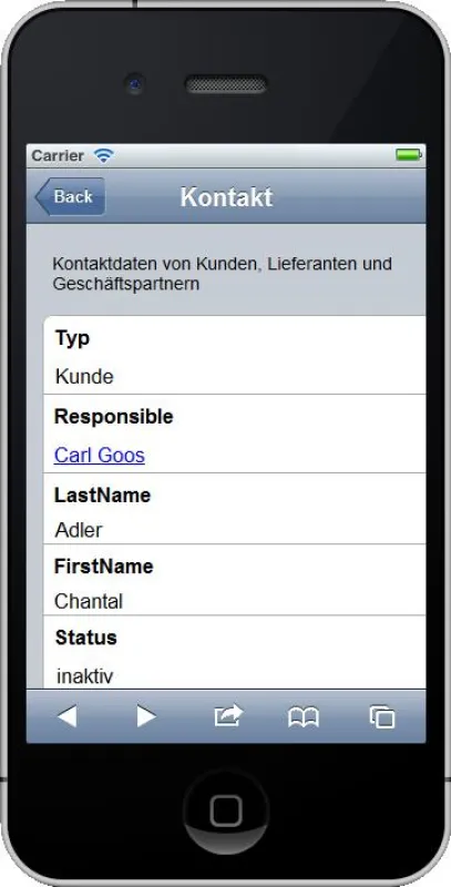 Optimieren Sie Ihre Domino Daten ganz einfach für die Anzeige auf kleinen Smartphone-Displays