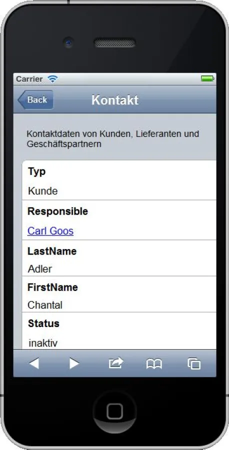 Optimieren Sie Ihre Domino Daten ganz einfach für die Anzeige auf kleinen Smartphone-Displays